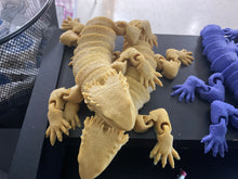 Load image into Gallery viewer, Dragon Fidgets